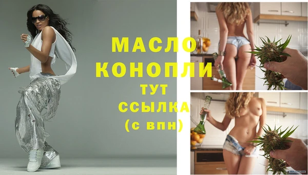 гашик Гусев