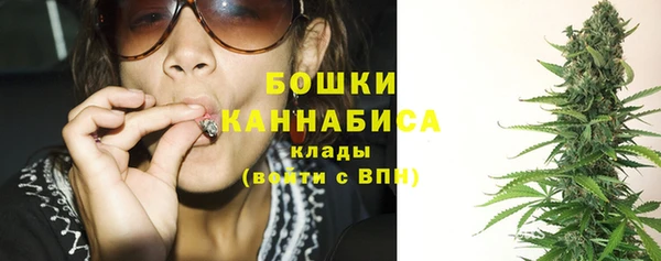 гашик Гусев