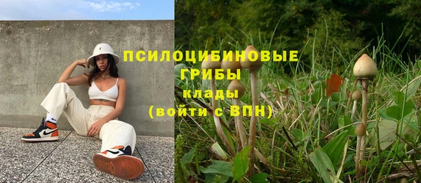 сатива Гусь-Хрустальный