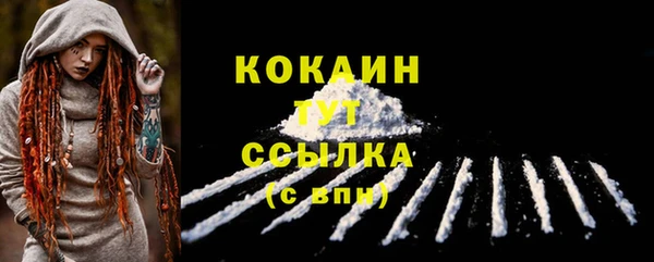 гашик Гусев