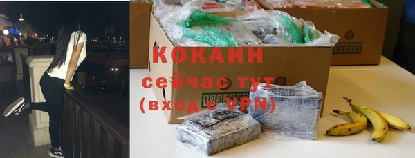 гашик Гусев