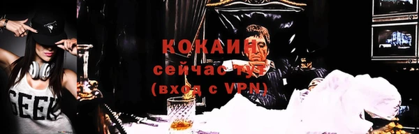 сатива Гусь-Хрустальный