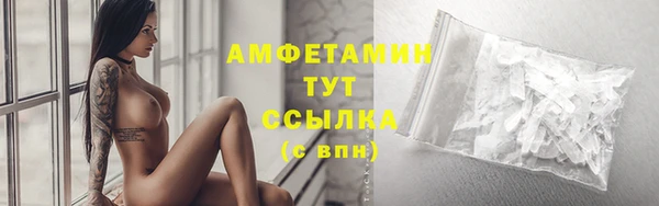 сатива Гусь-Хрустальный