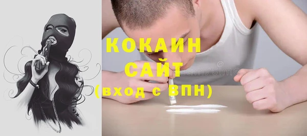 гашик Гусев