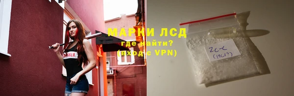гашик Гусев