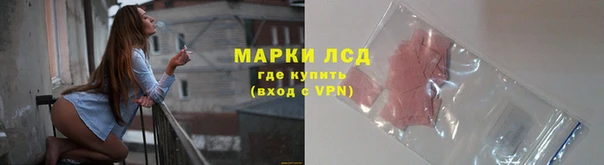 сатива Гусь-Хрустальный