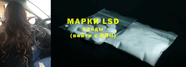 гашик Гусев