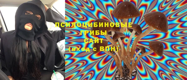 гашик Гусев