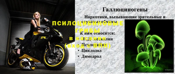 гашик Гусев